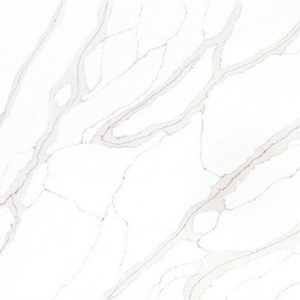 PG-7951 calacatta TVTS cin