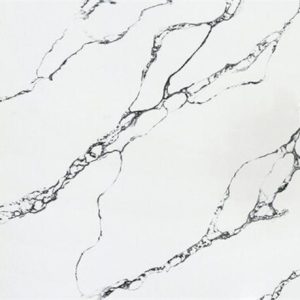 PG-7954 calacatta TVTS mira